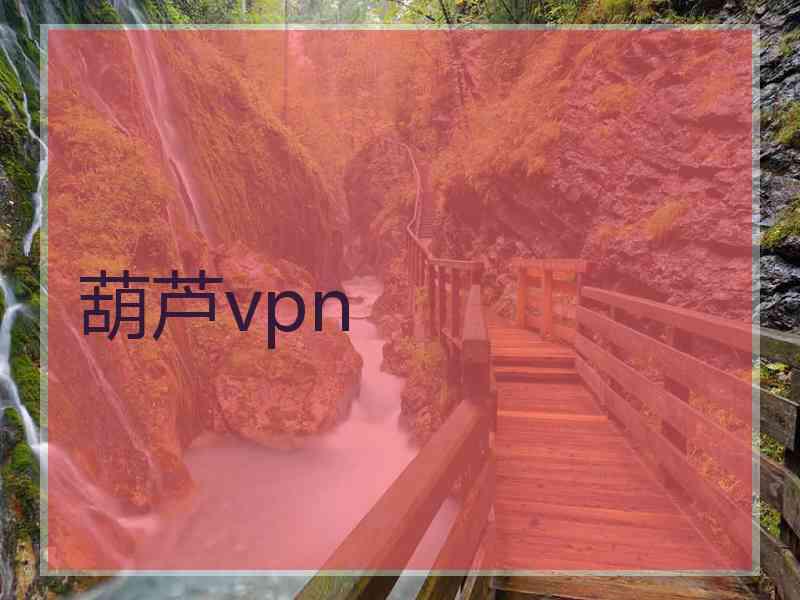 葫芦vpn