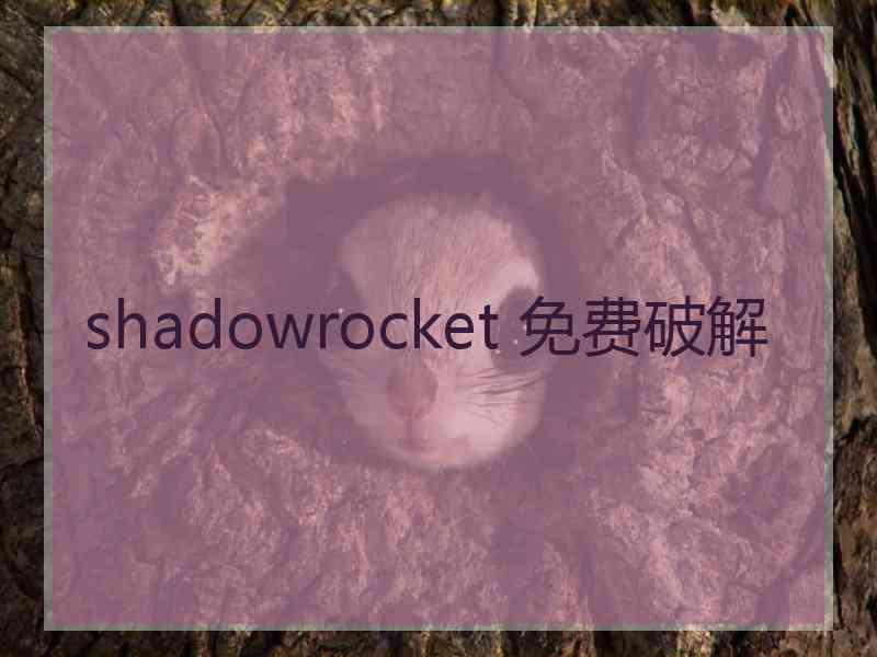 shadowrocket 免费破解