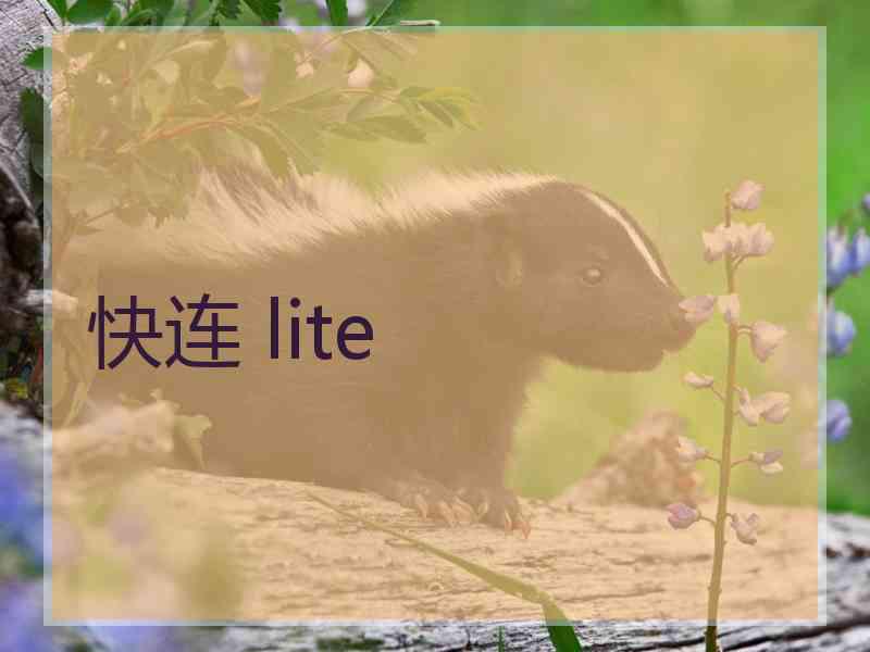 快连 lite