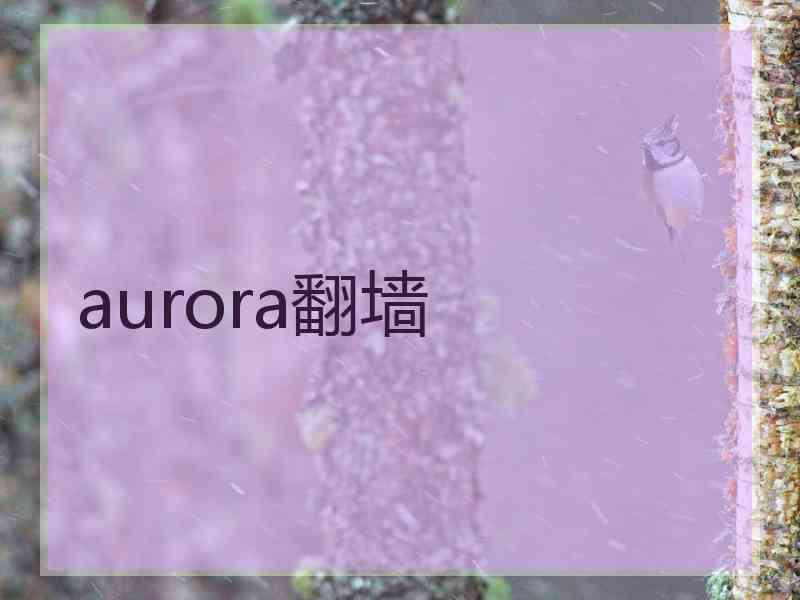 aurora翻墙