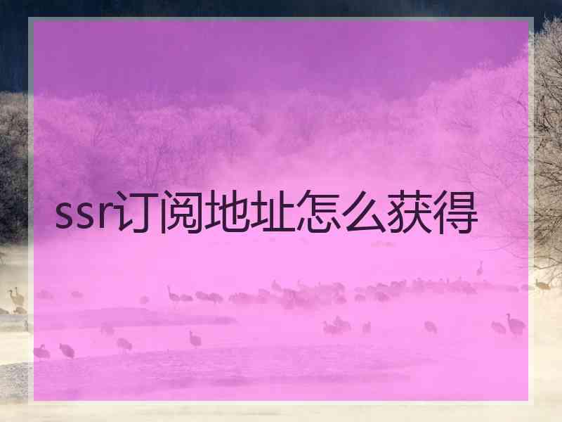 ssr订阅地址怎么获得