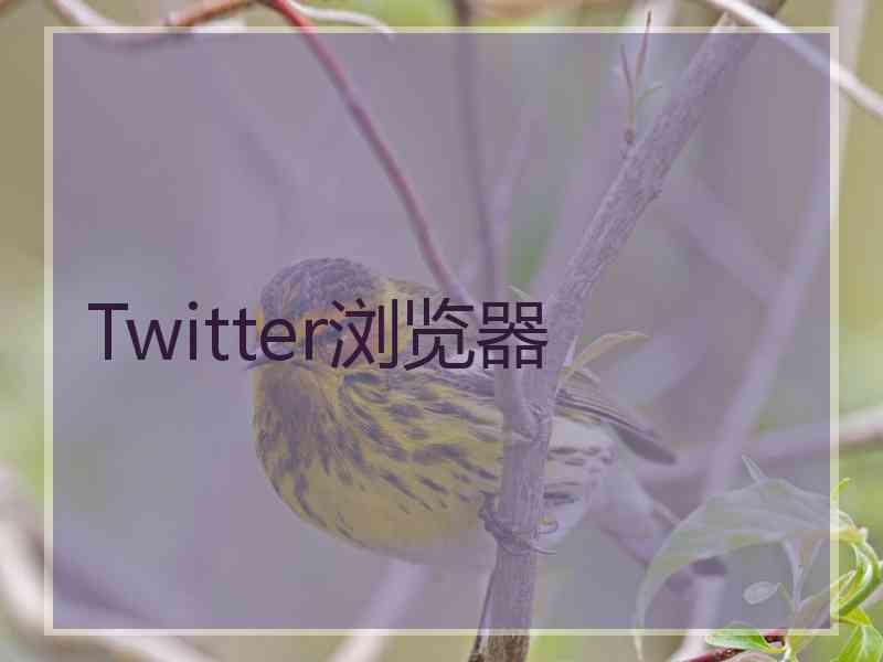 Twitter浏览器