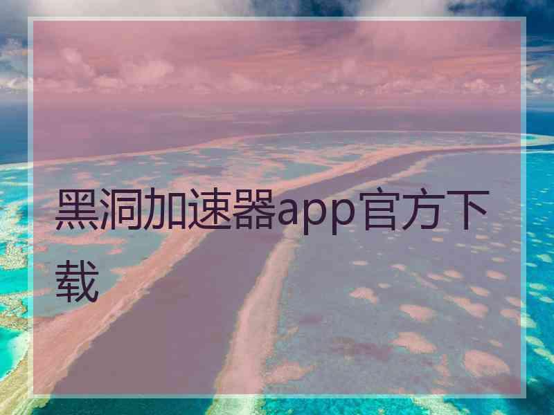 黑洞加速器app官方下载