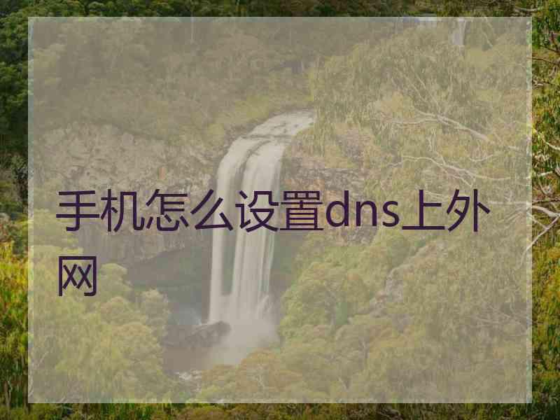 手机怎么设置dns上外网