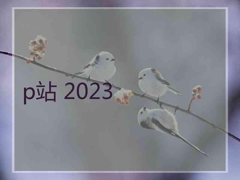 p站 2023