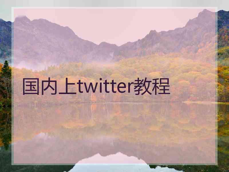 国内上twitter教程