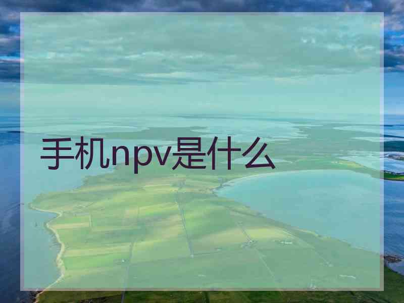 手机npv是什么