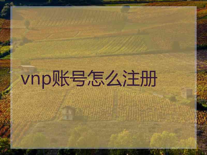 vnp账号怎么注册