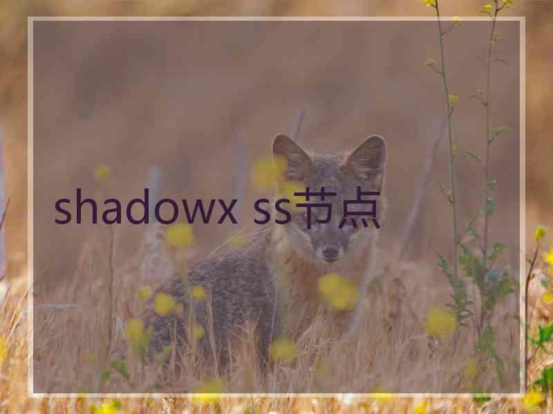 shadowx ss节点