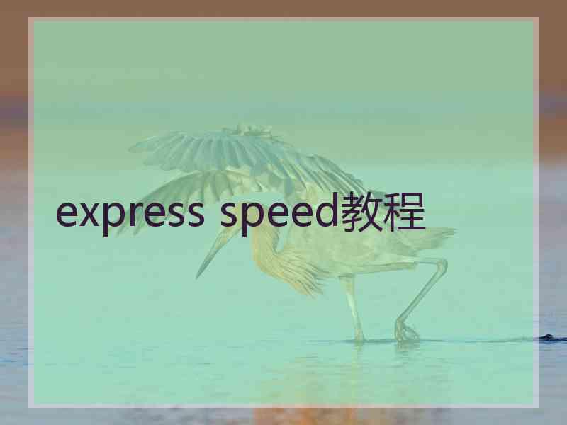 express speed教程