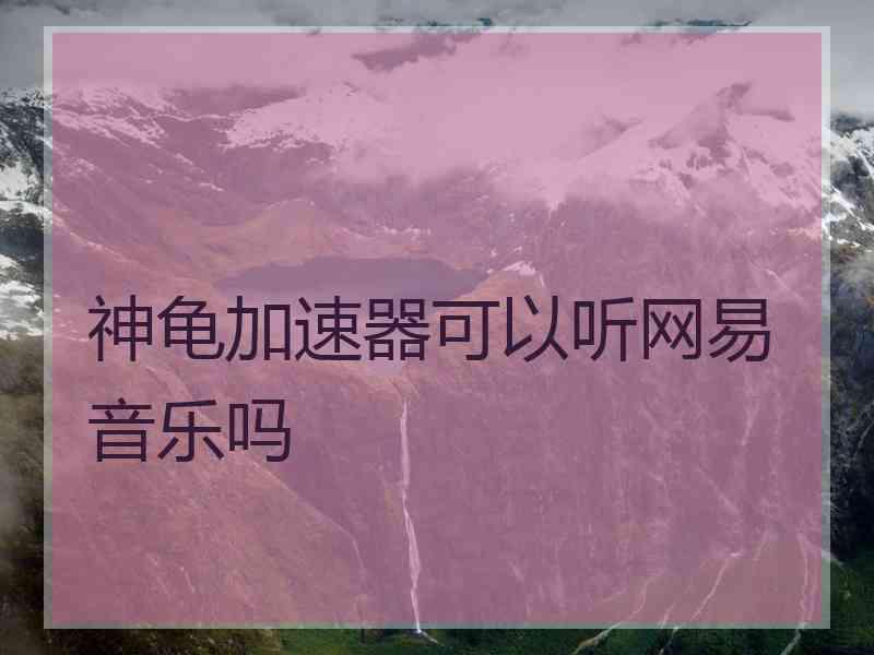 神龟加速器可以听网易音乐吗