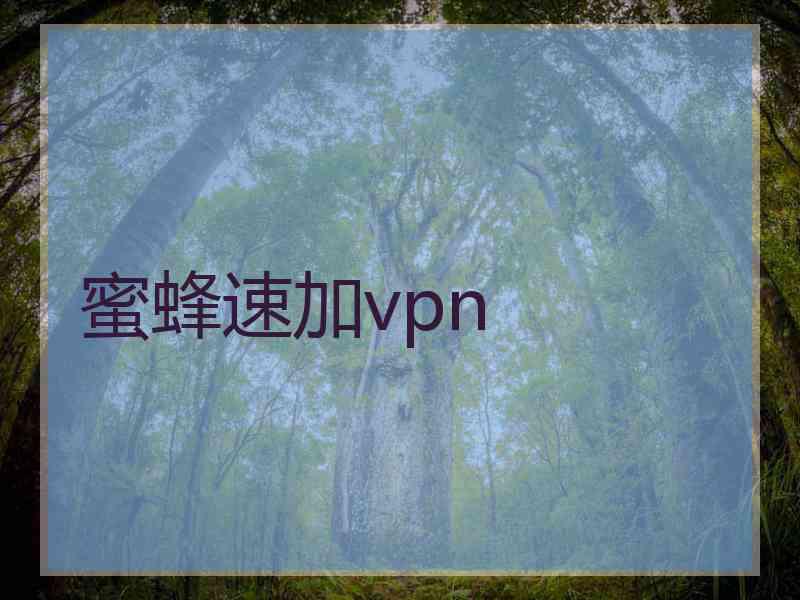 蜜蜂速加vpn