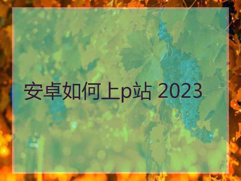 安卓如何上p站 2023