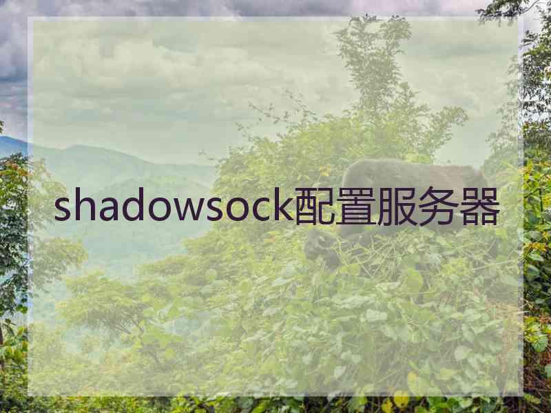 shadowsock配置服务器