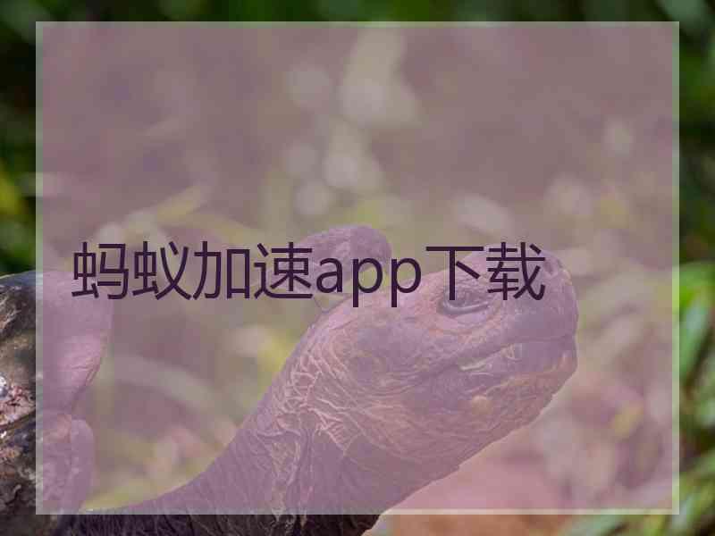 蚂蚁加速app下载