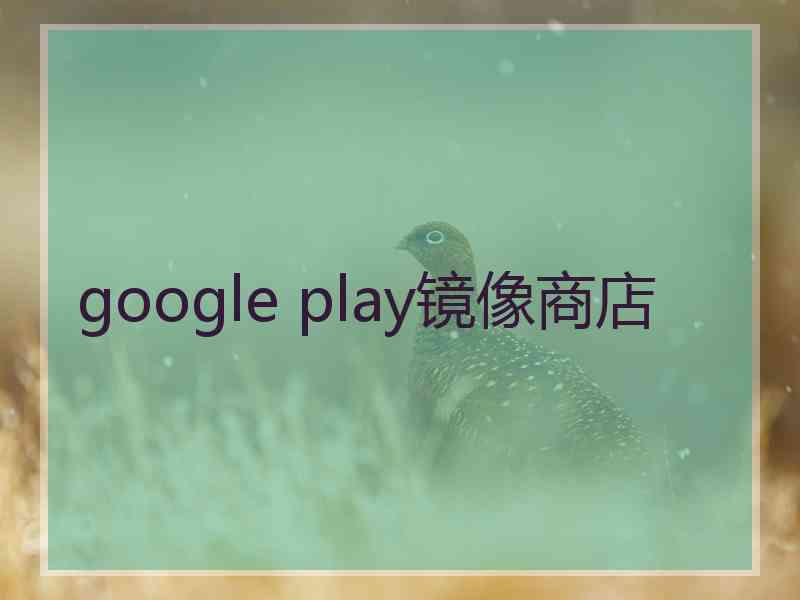 google play镜像商店