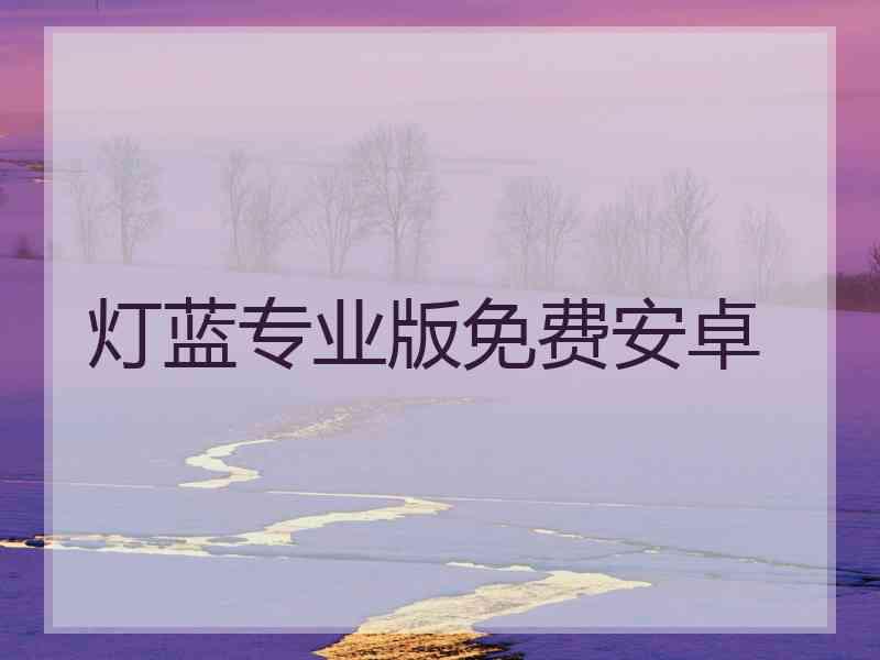 灯蓝专业版免费安卓