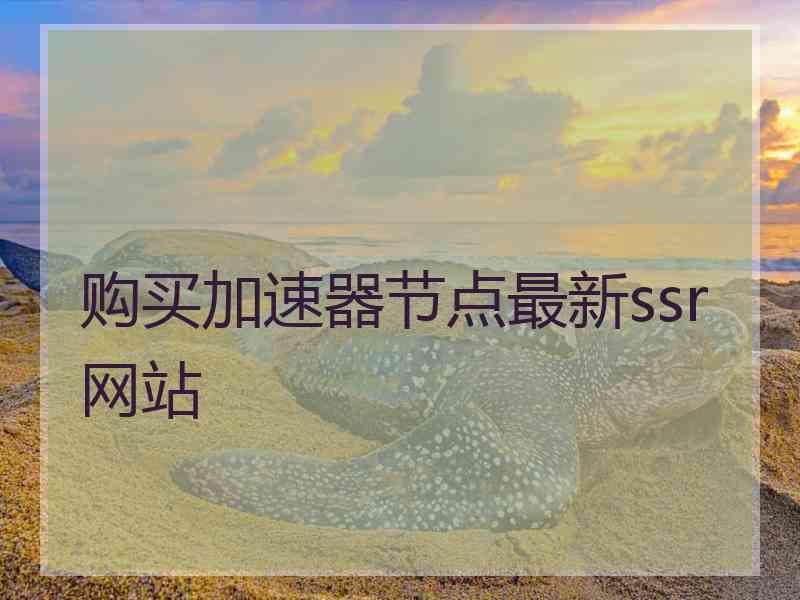 购买加速器节点最新ssr网站