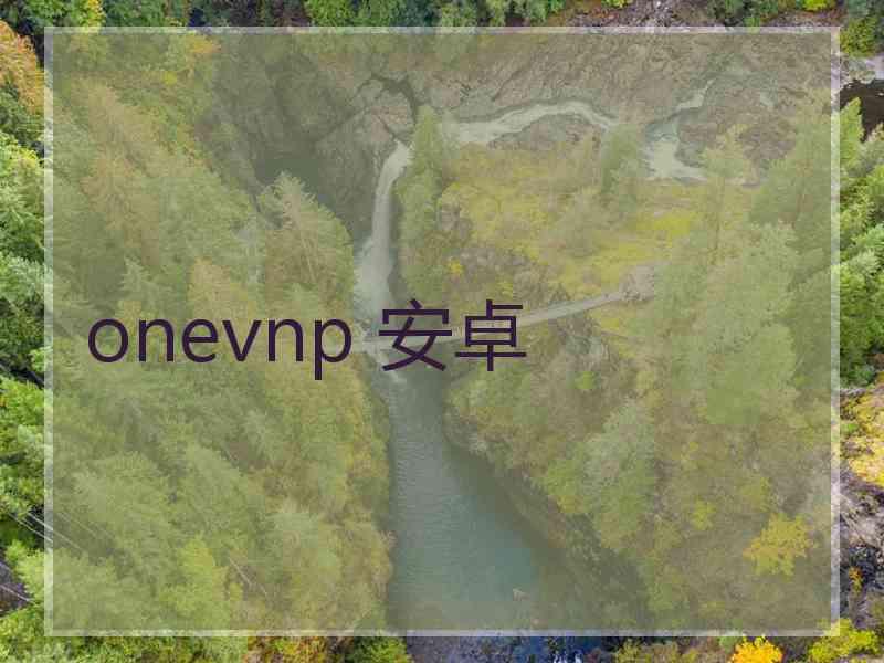 onevnp 安卓