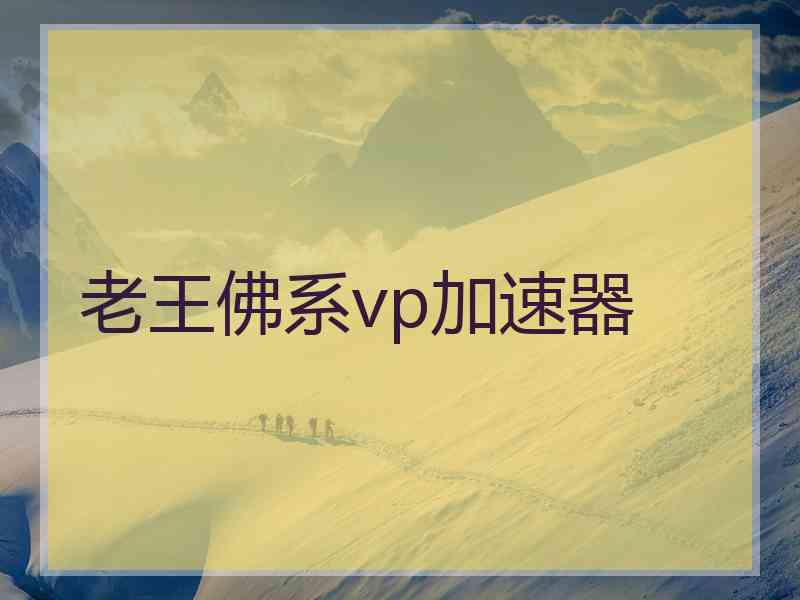 老王佛系vp加速器