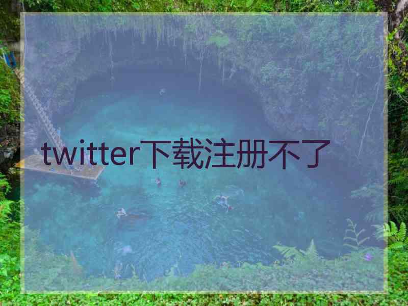 twitter下载注册不了