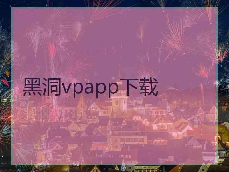 黑洞vpapp下载