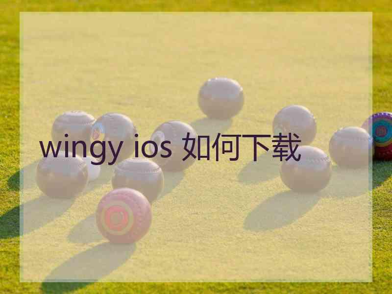 wingy ios 如何下载