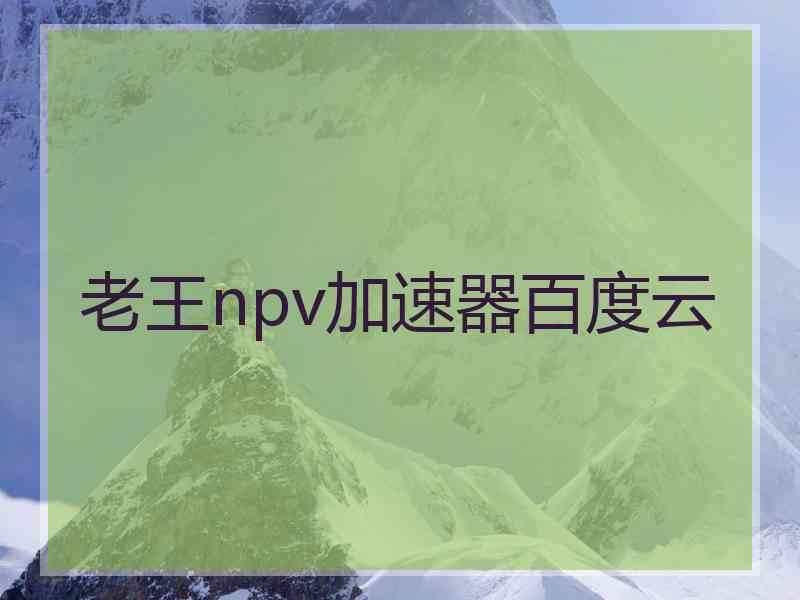 老王npv加速器百度云