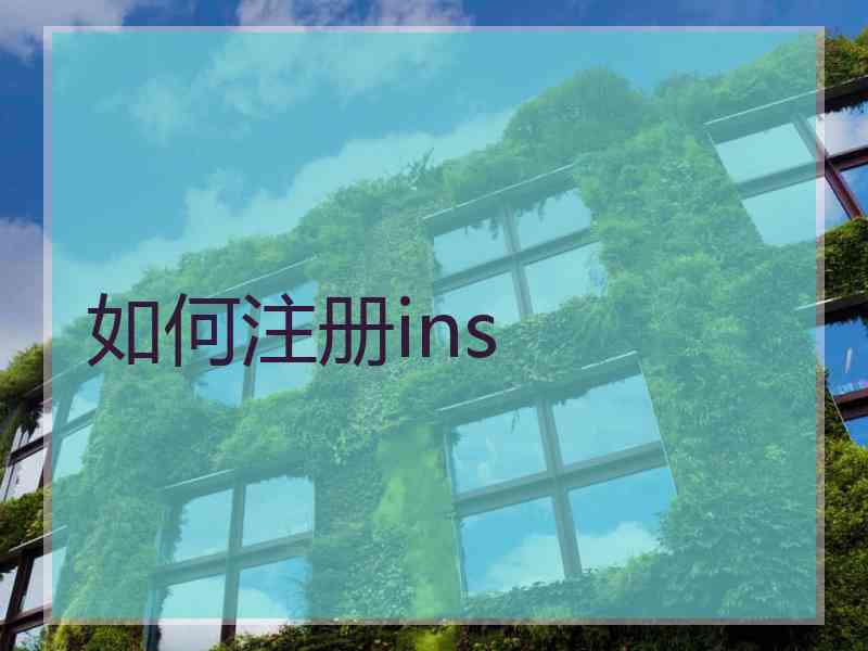 如何注册ins