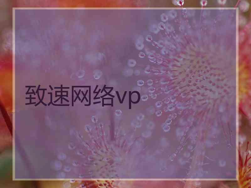 致速网络vp