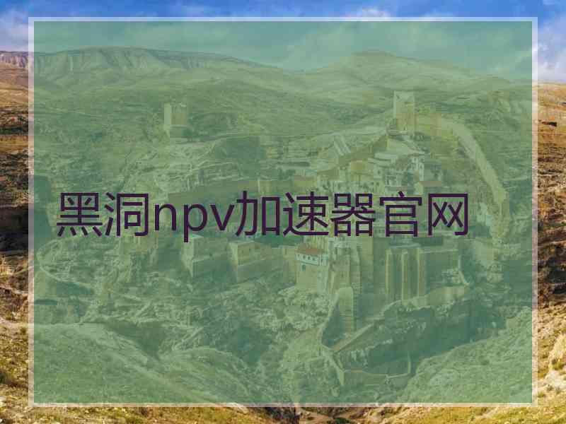 黑洞npv加速器官网