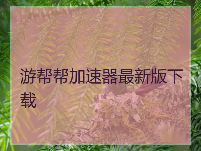 游帮帮加速器最新版下载