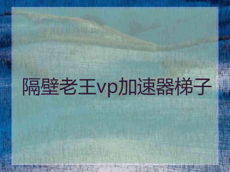 隔壁老王vp加速器梯子