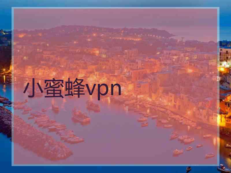 小蜜蜂vpn