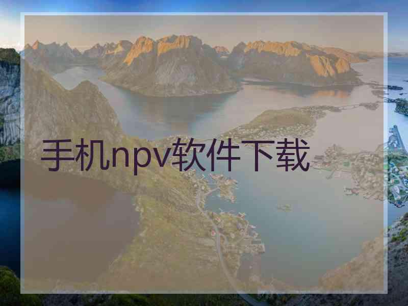 手机npv软件下载