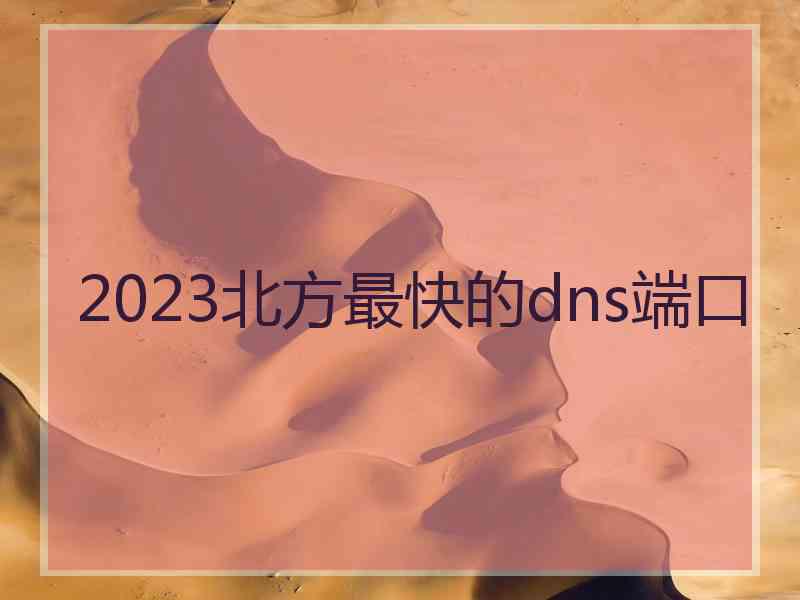 2023北方最快的dns端口