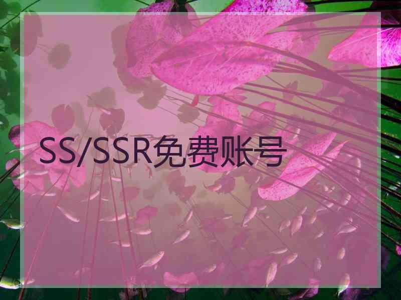 SS/SSR免费账号