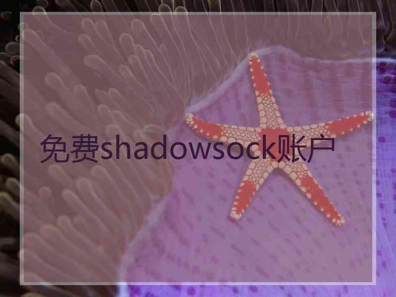 免费shadowsock账户