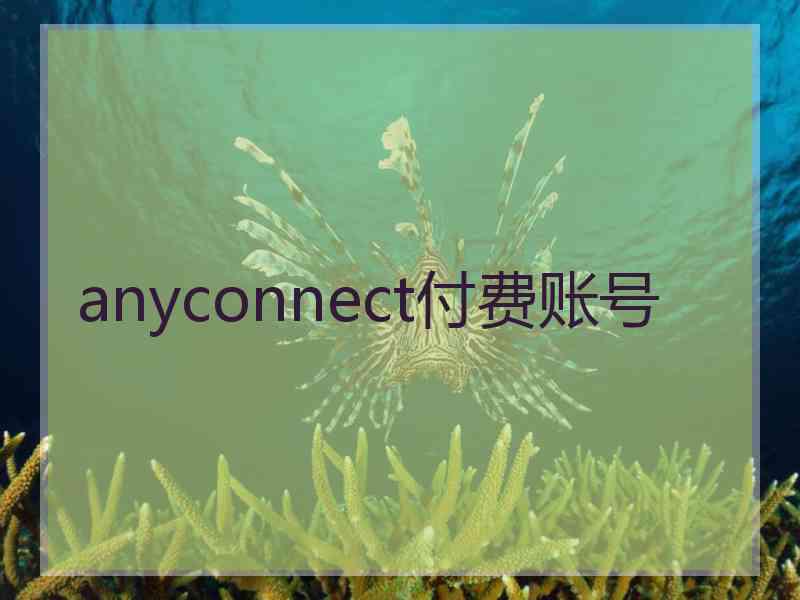 anyconnect付费账号