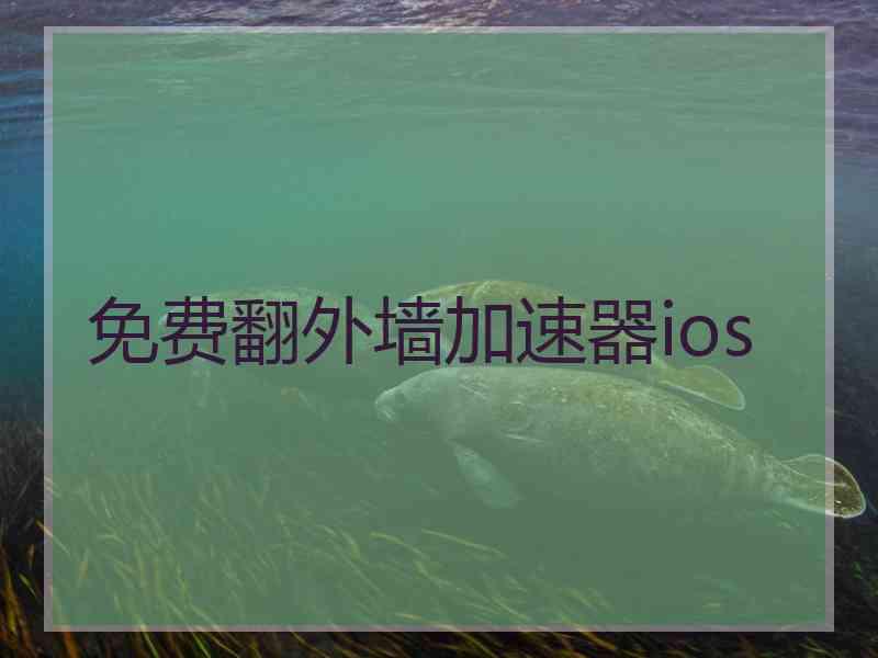 免费翻外墙加速器ios