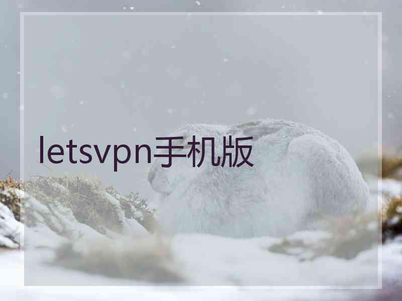 letsvpn手机版