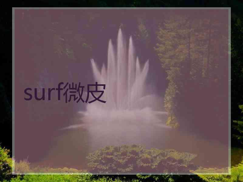 surf微皮