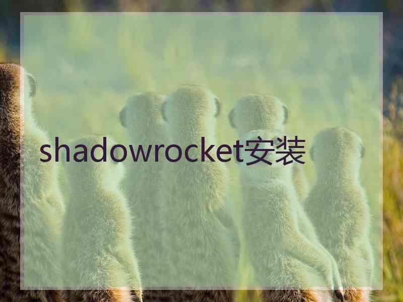 shadowrocket安装