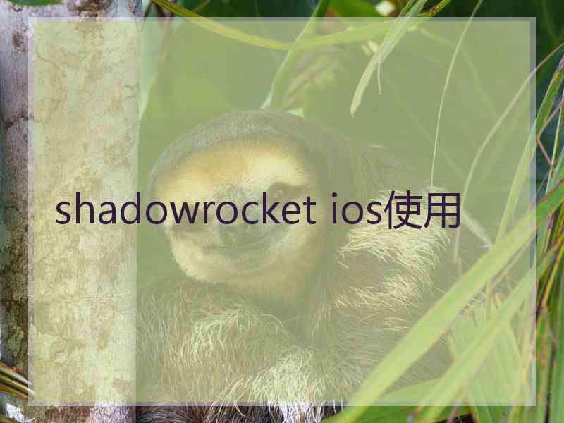 shadowrocket ios使用