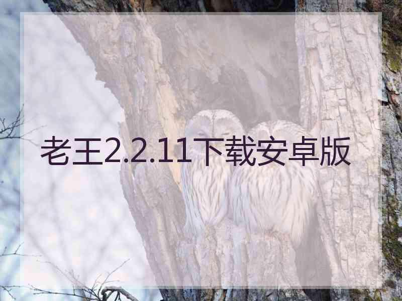 老王2.2.11下载安卓版