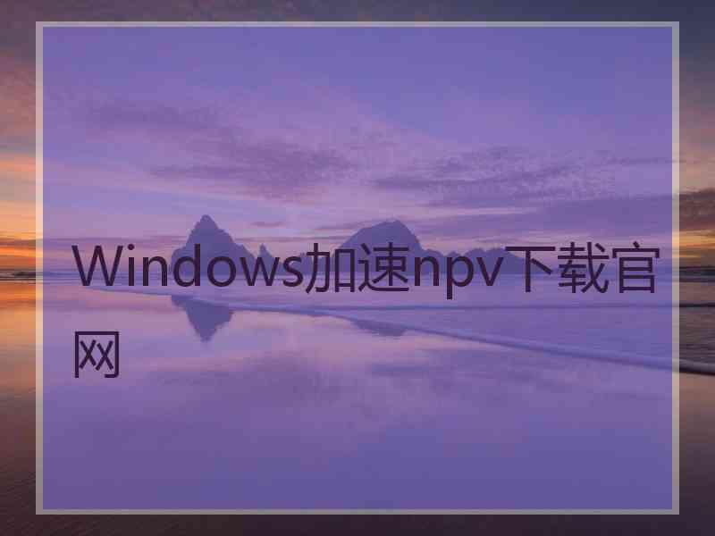 Windows加速npv下载官网