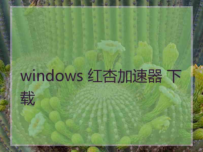 windows 红杏加速器 下载