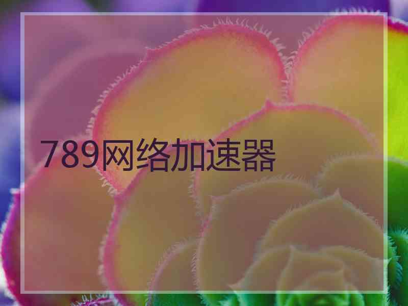 789网络加速器