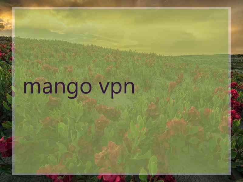 mango vpn