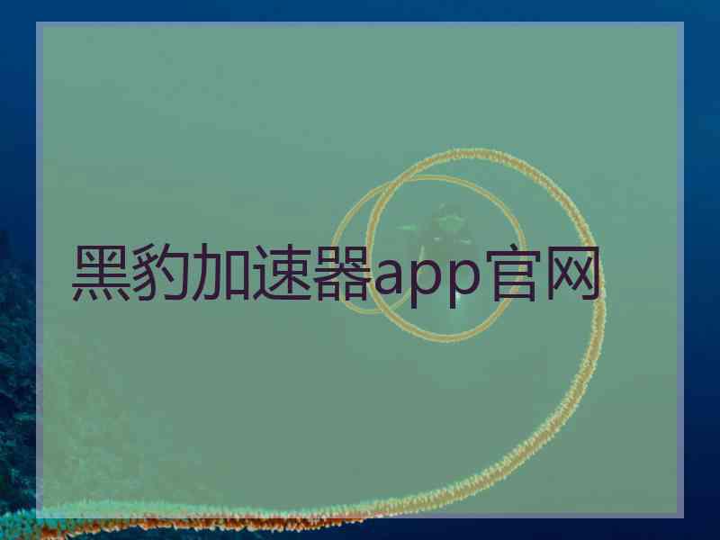 黑豹加速器app官网